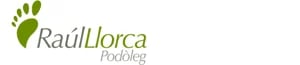 Raul Llorca Logo - flowww Success Story